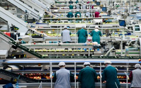 food industry markets
